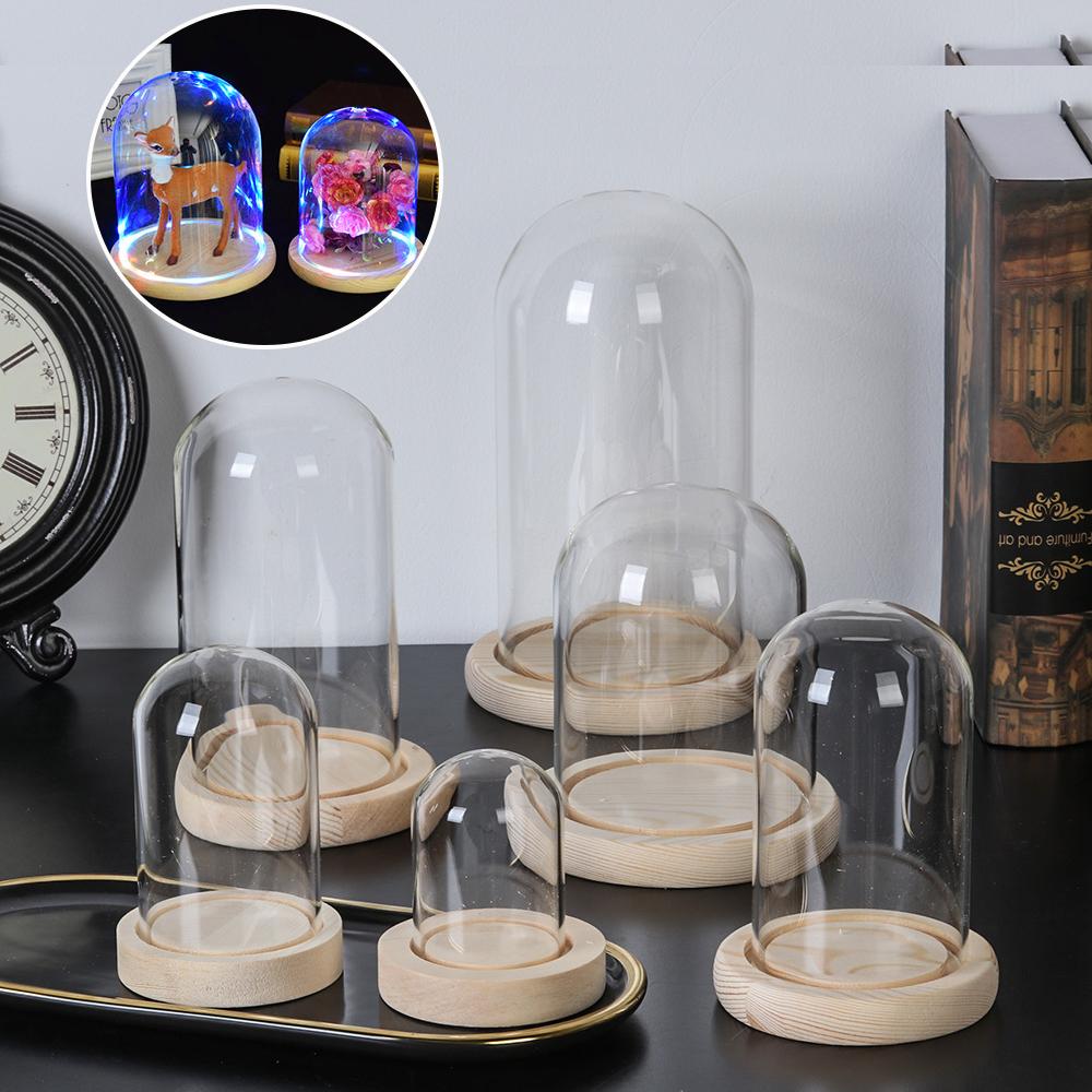 Reusable Bottle - Terrarium de table, lumières féériques, bocal