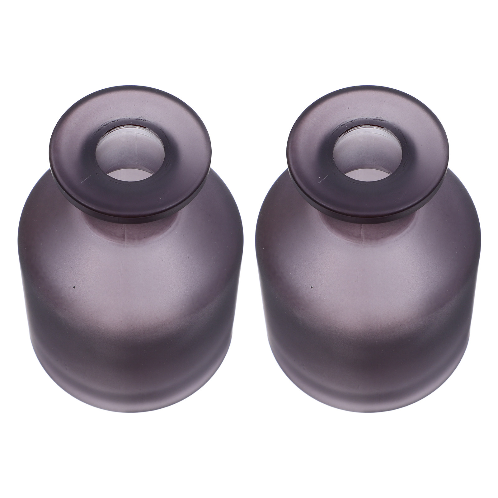 2 bouteilles diffuseur en verr - Reusable Bottle avis et prix