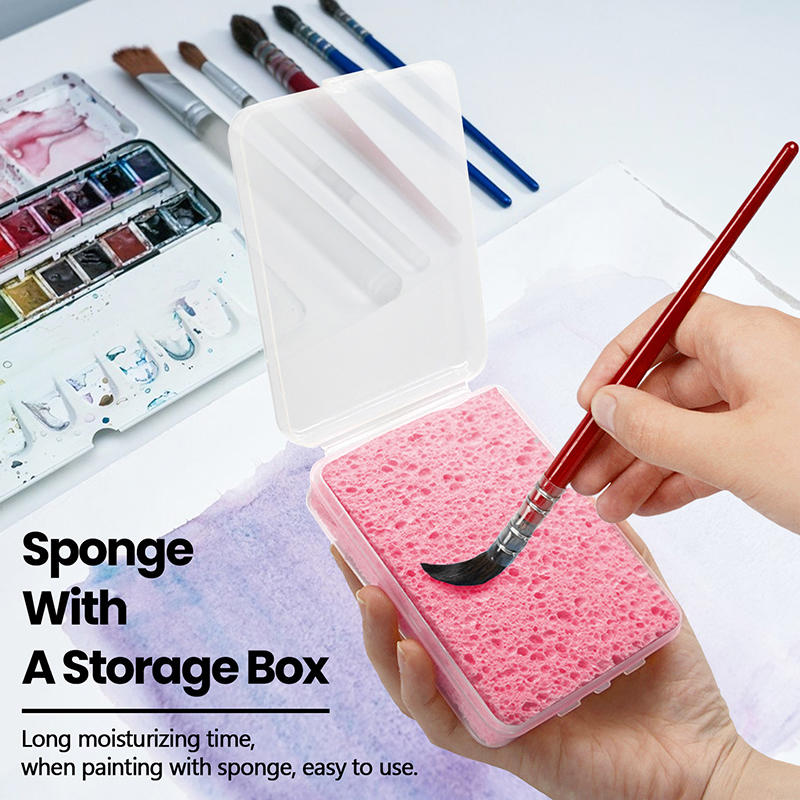 Éponge absorbante pour nettoya - Eco Sponge avis et prix