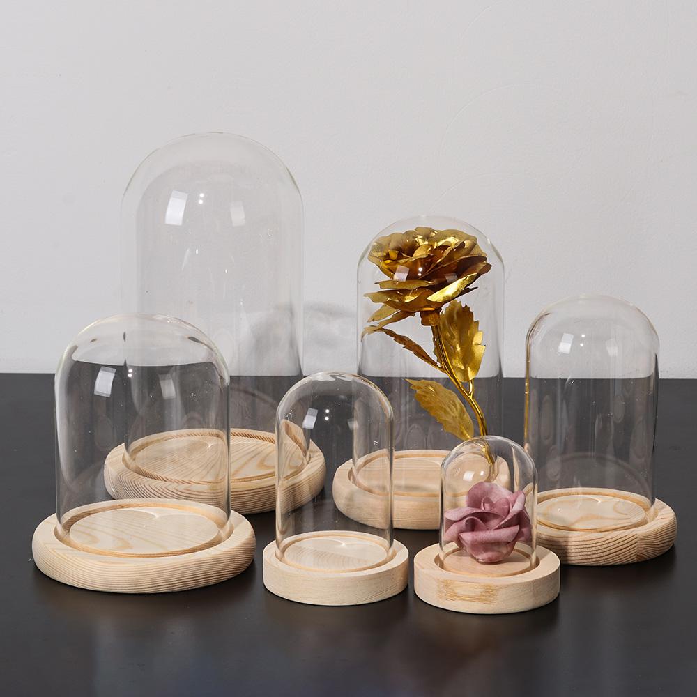 Terrarium de table, lumières f - Reusable Bottle avis et prix